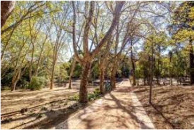 Forest View Lissabon Exterior foto